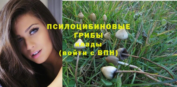 прущие крисы Балахна