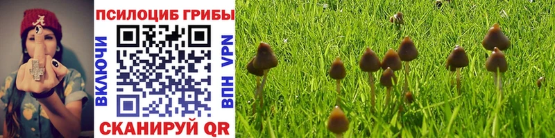 сколько стоит  Гурьевск  MEGA маркетплейс  Галлюциногенные грибы Magic Shrooms 